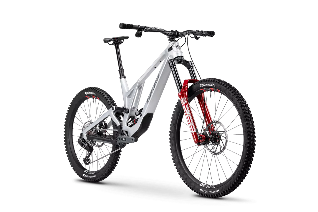 Ghost POACHA Full Party Grey 2025 Mountain Bike