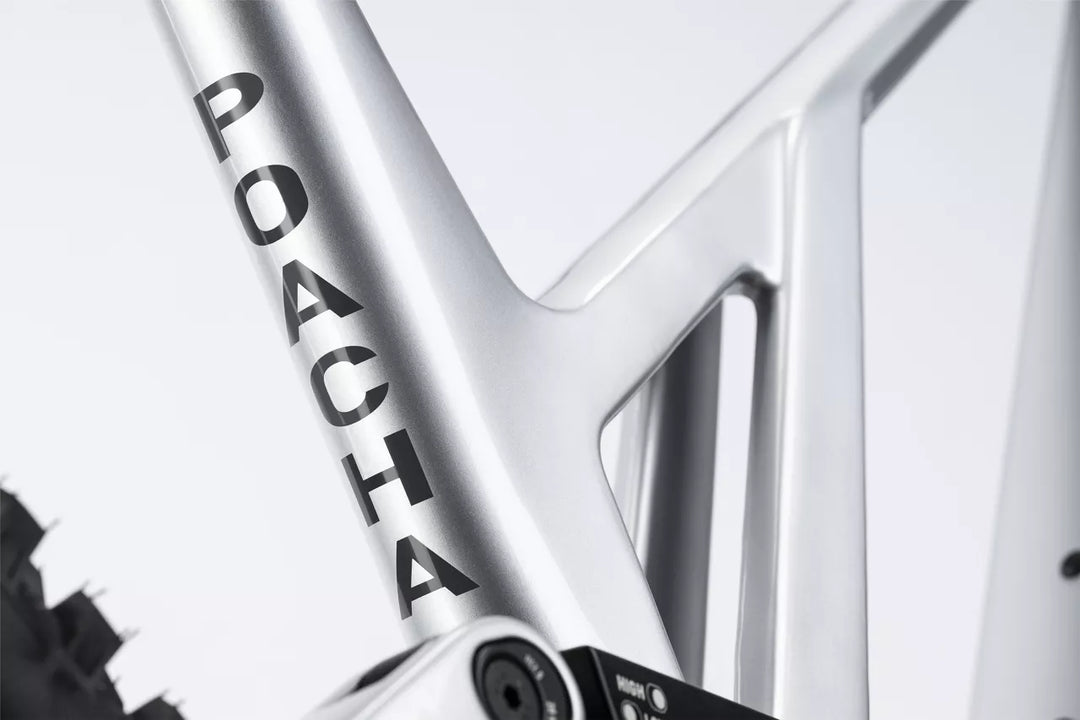 Ghost POACHA Full Party Grey 2025 Mountain Bike
