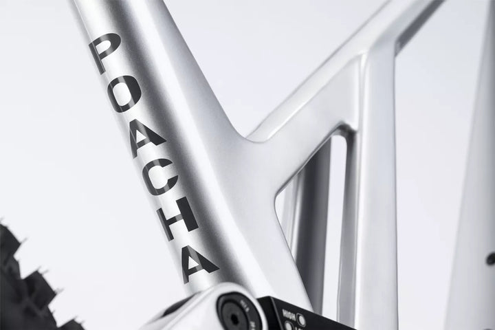 Ghost POACHA Full Party Grey 2025 Mountain Bike