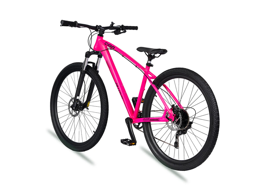 Collective Bikes C100 V3 Rhodonite Bike