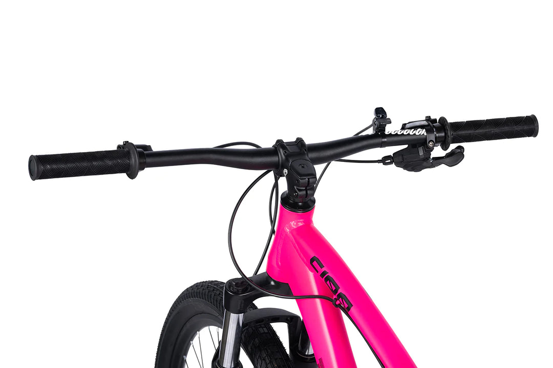 Collective Bikes C100 V3 Rhodonite Bike