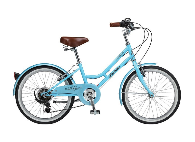 PROBIKE Mini Vintage 23" Ice Blue Kids Bike