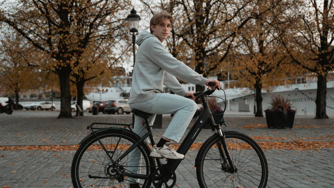 Tenways CGO800S Urban City Belt Drive E-Bike