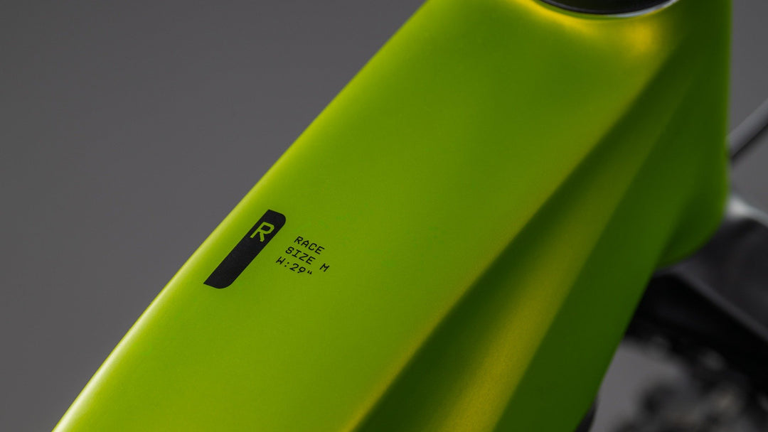 Cube Reaction Hybrid Race 800 Lizard 2026 Electric Mountain Bike