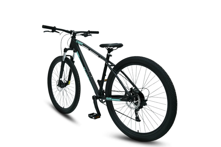 Collective Bikes C100 V3 MTB Mint