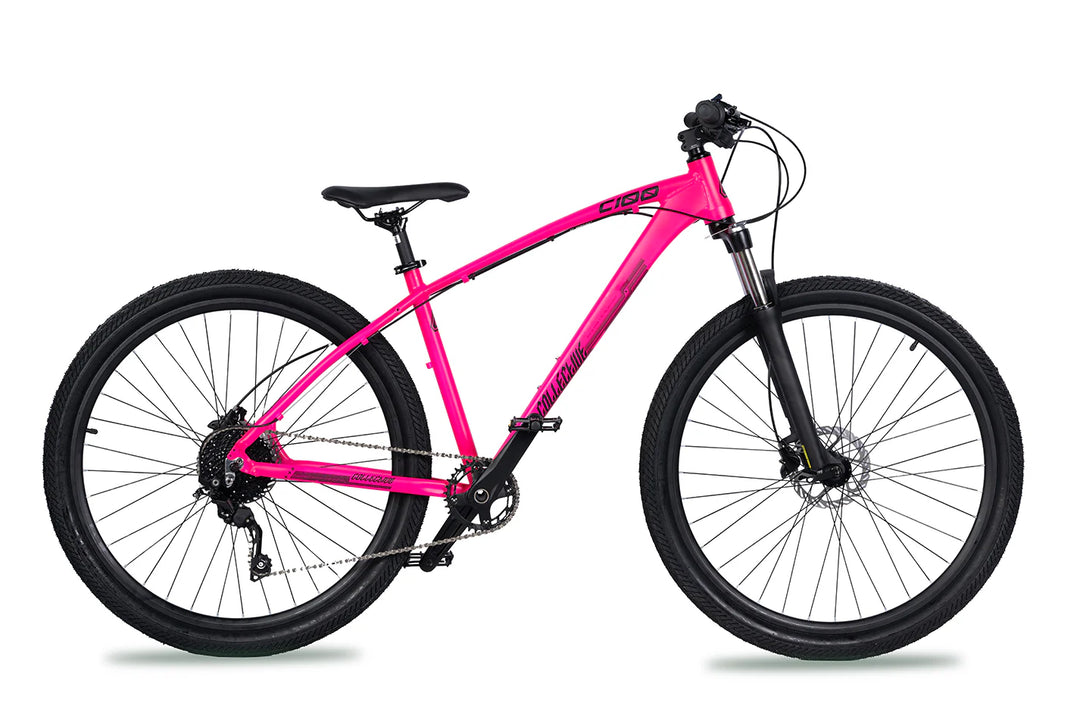 Big collective bikes sale