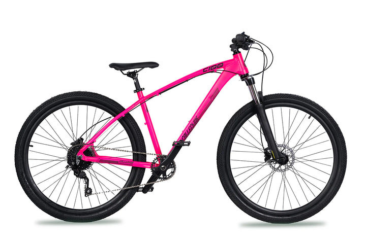 Collective Bikes C100 V3 Rhodonite Bike