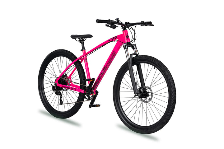 Collective Bikes C100 V3 Rhodonite Bike