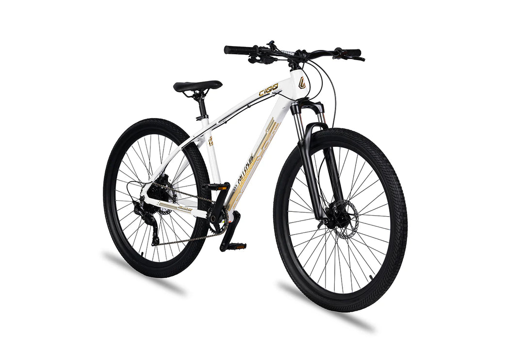 Collective c100 mountain bike online