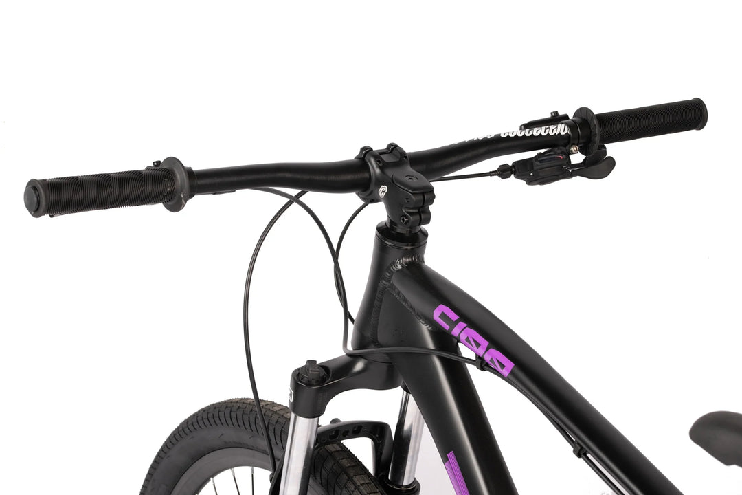 C100 mtb online