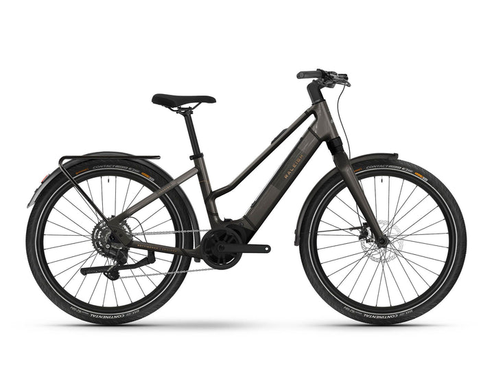 Raleigh Hockley Mid-Step 2025 Hybrid Electric Bike