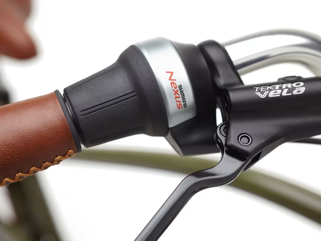 Electra Townie Go! 5i Step-Over Olive Electric Bike