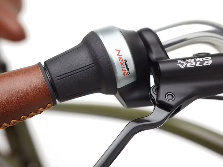 Electra Townie Go! 5i Step-Over Olive Electric Bike
