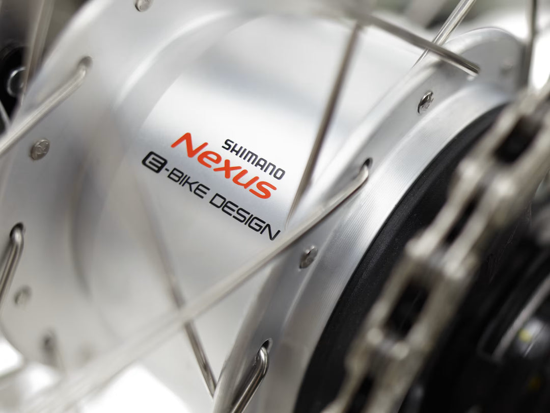 Electra Townie Go! 5i Step-Thru Matte Violet Fade Electric Bike