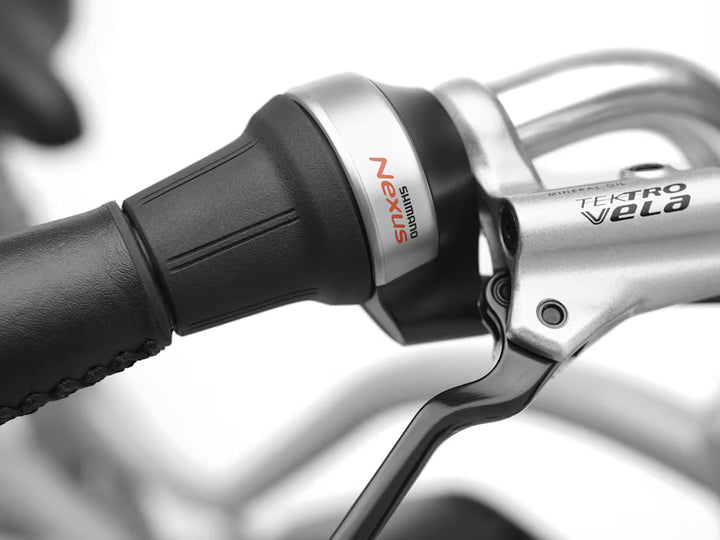 Electra Townie Go! 5i Step-Thru Grey Electric Bike