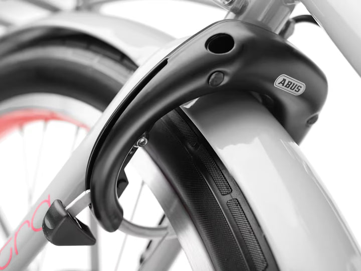 Electra Townie Go! 5i Step-Thru Grey Electric Bike