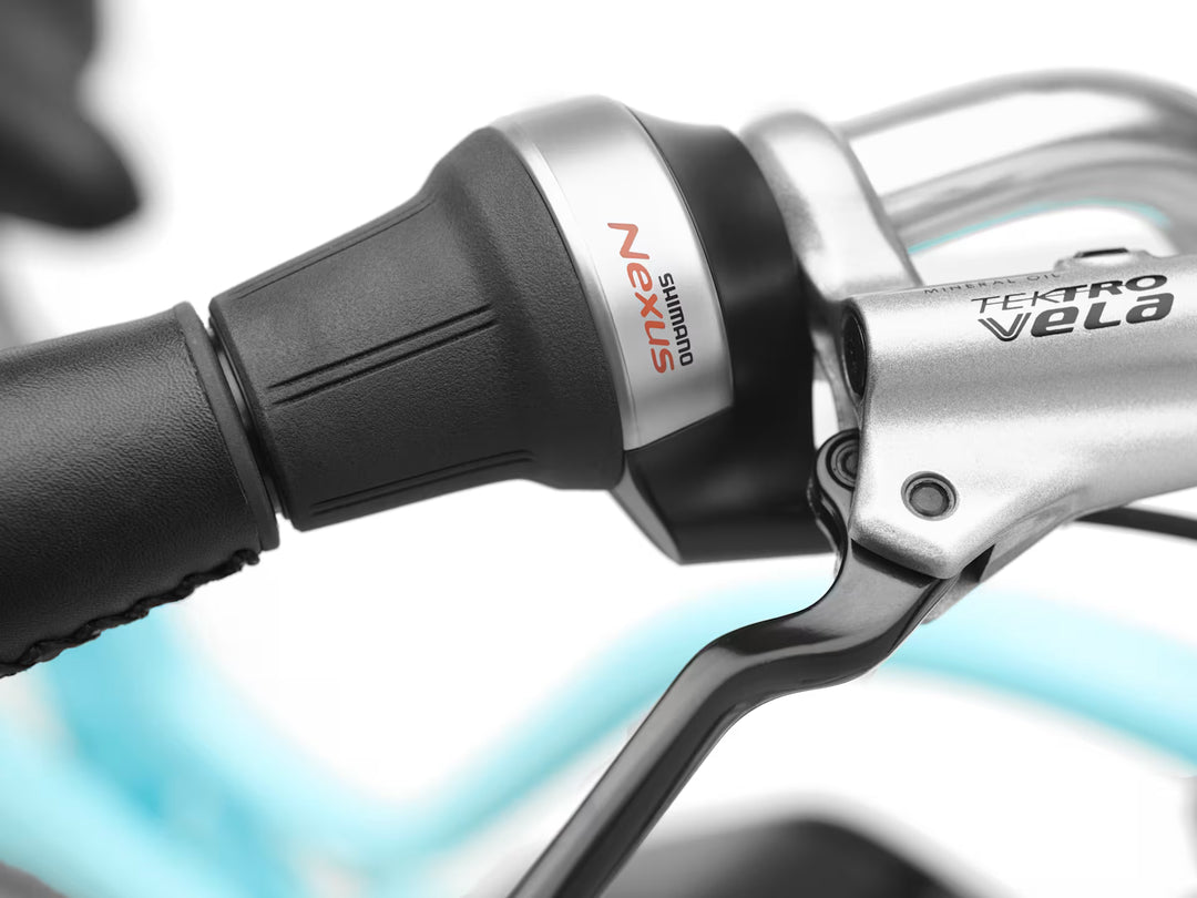 Electra Townie Go! 5i Step-Thru Glacier Blue Electric Bike