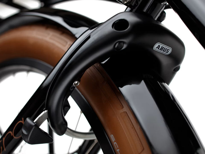 Electra Townie Go! 5i Step-Thru Ebony Electric Bike