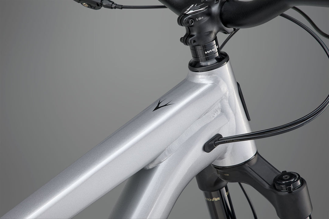 Whyte Syphon S Raw Silver Mountain Bike