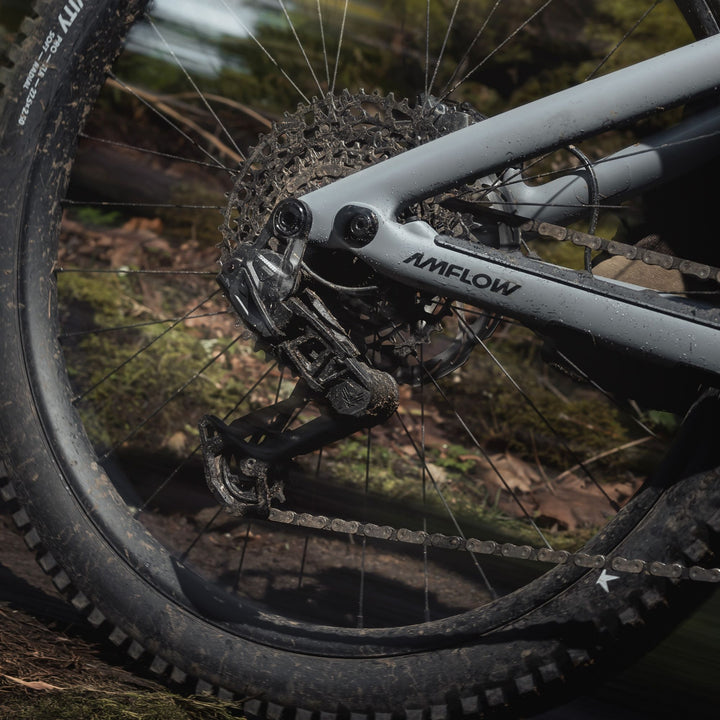 Amflow PR Carbon Pro 2027 Electric Mountain Bike