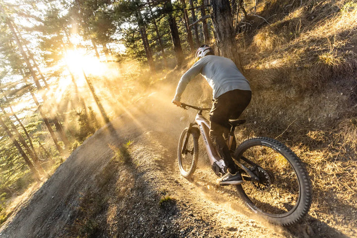 Haibike AllMtn CF 11 TRN IQ Auto Gears Motor 2025 Electric Mountain Bike