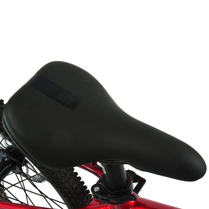 Hoy Pentland 20" Sprint Red Kids Bike