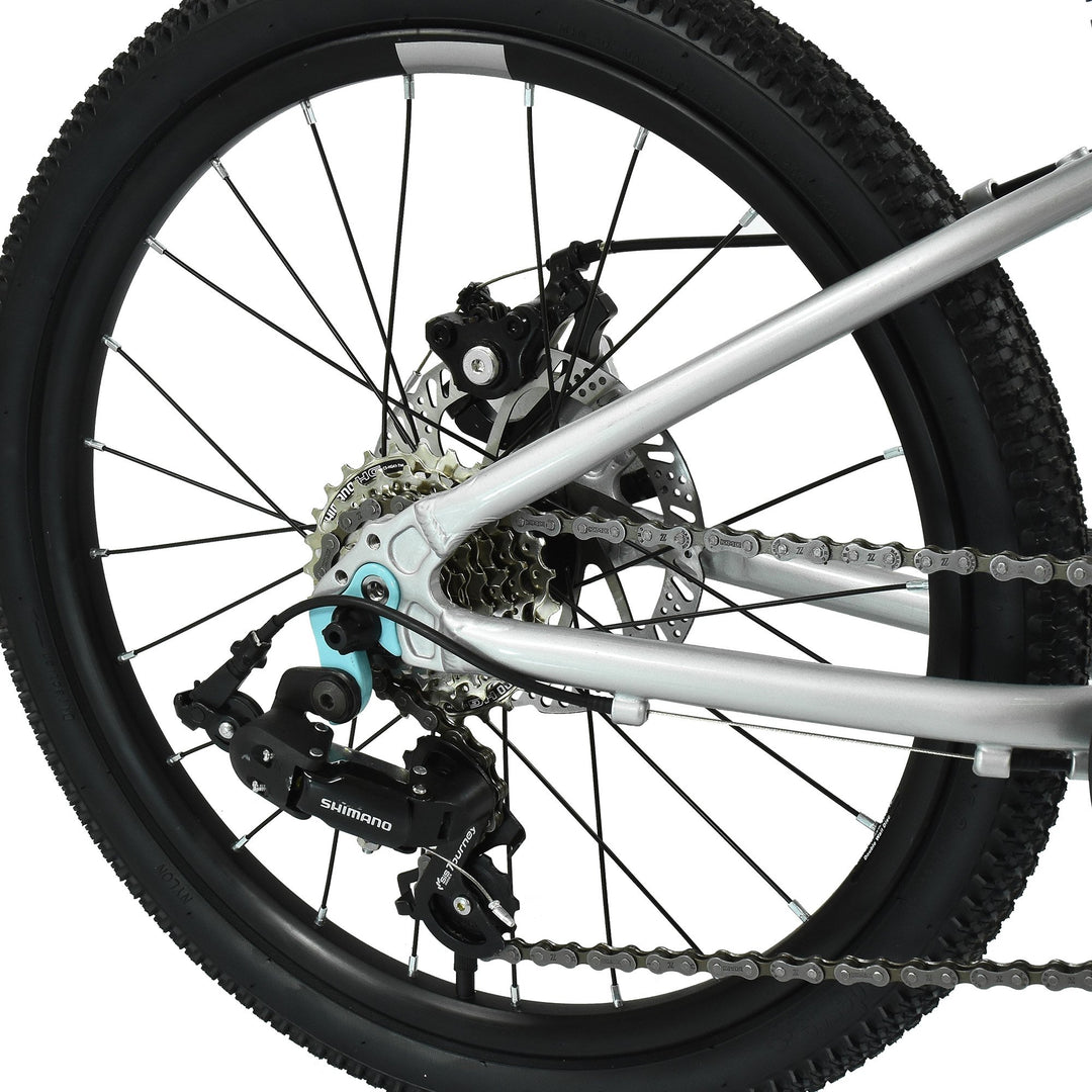 Hoy Pentland 20" Titanium Silver Kids Bike