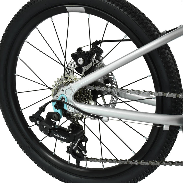 Hoy Pentland 20" Titanium Silver Kids Bike