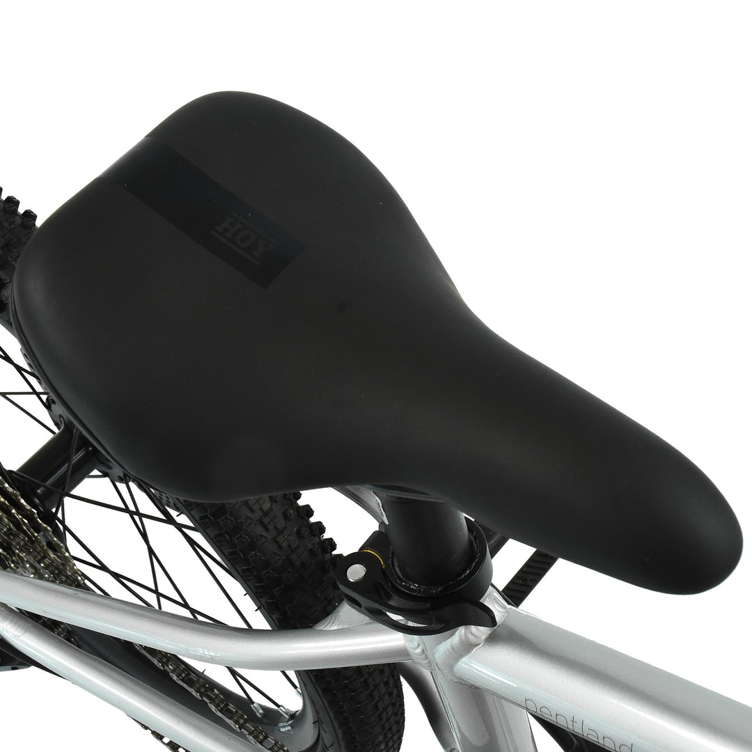 Hoy Pentland 20" Titanium Silver Kids Bike