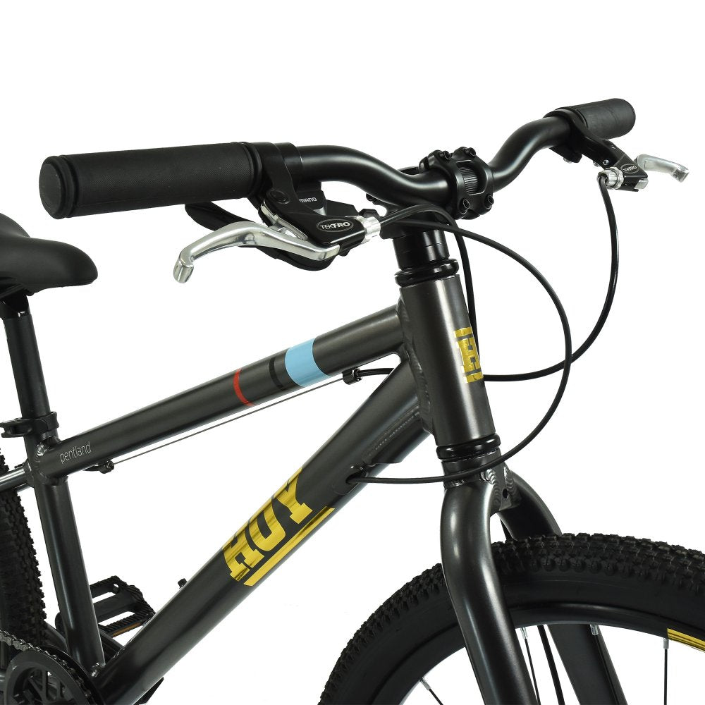 Hoy Pentland 26" Stealth Black Kids Bike